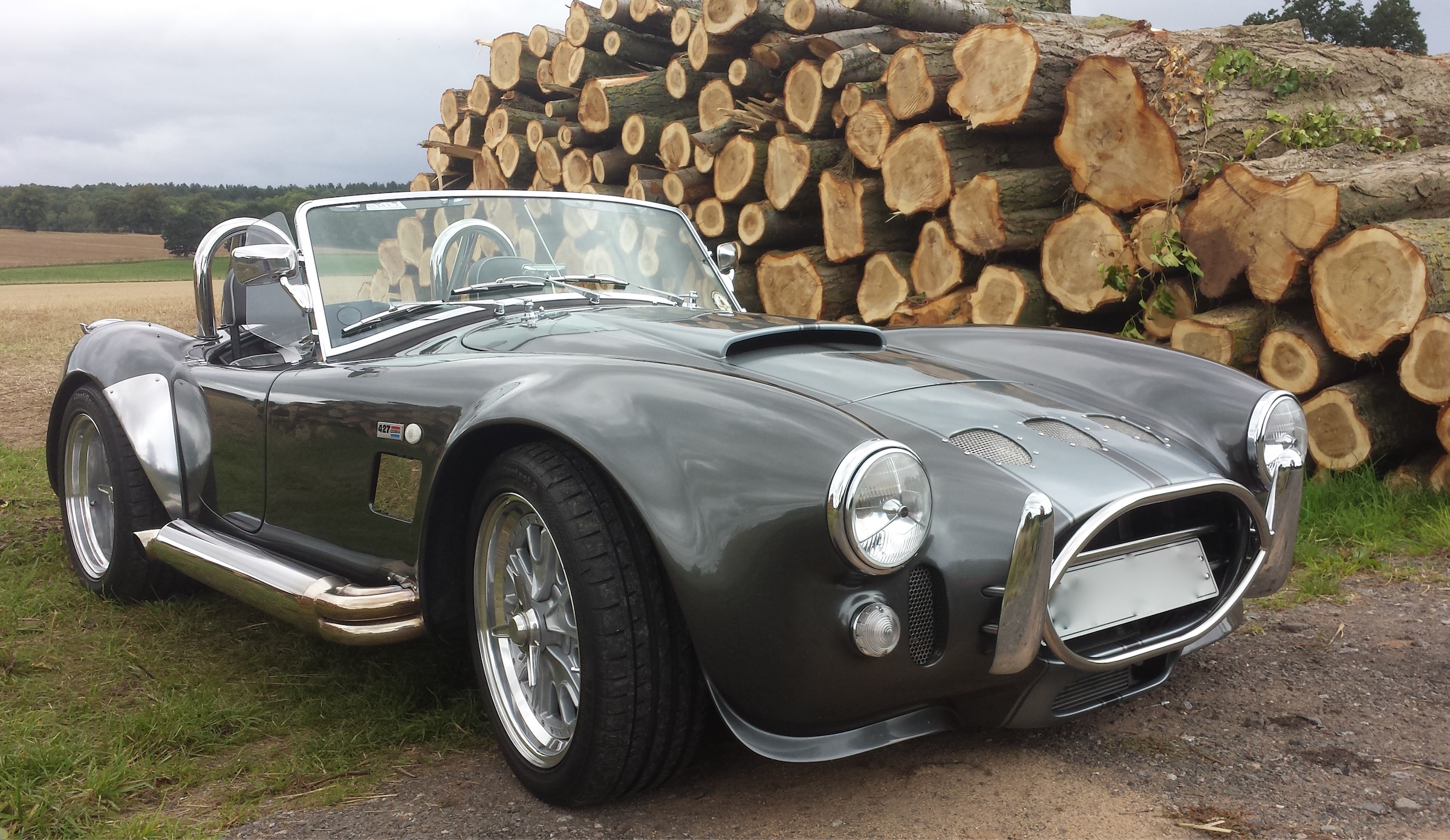 Cobra replica parked in front of logs